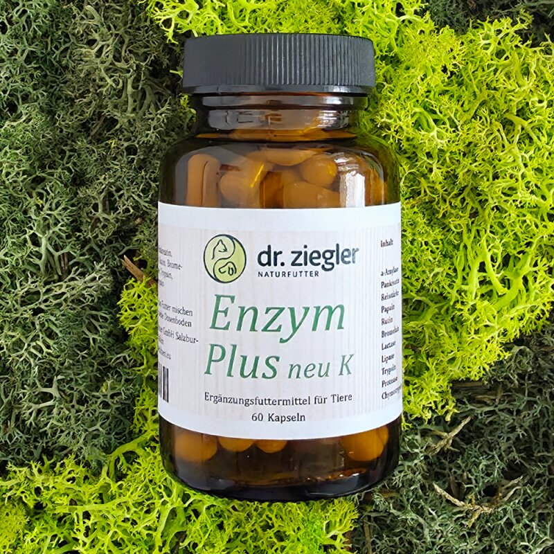 Enzym Plus neu K - Dr. Jutta Ziegler