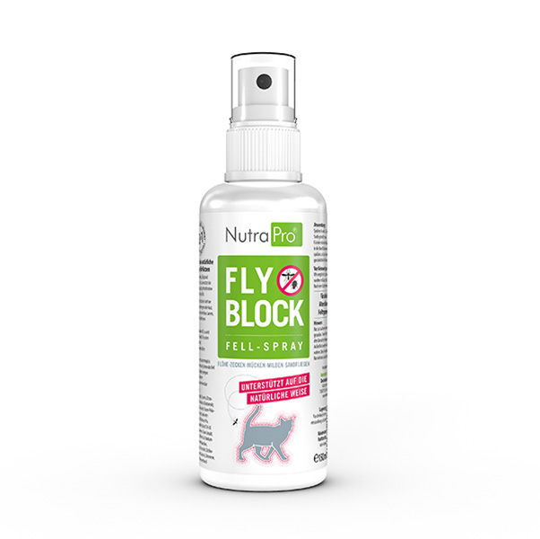 Fly Block Katze