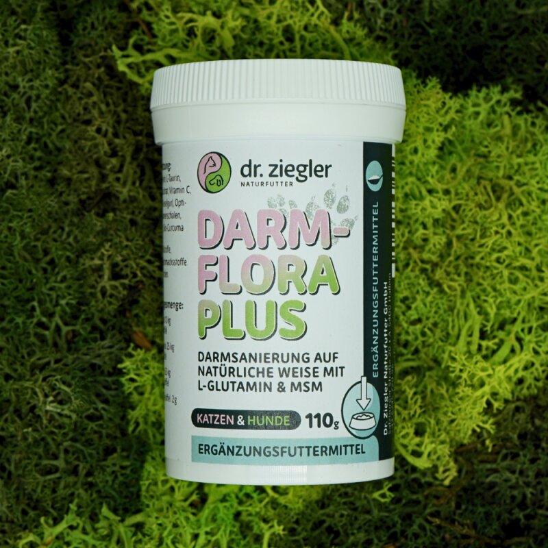 Darmflora Plus - Dr. Jutta Ziegler